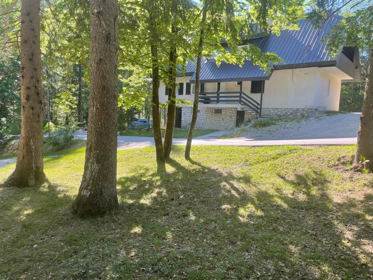 Martinov Dom Lejlighed Kranjska Gora Eksteriør billede